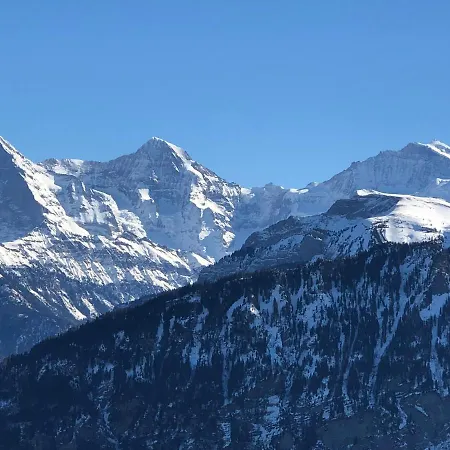 Wohnung Mit See Und Bergsicht Im Vier Sterne Hotel Beatenberg Extérieur photo