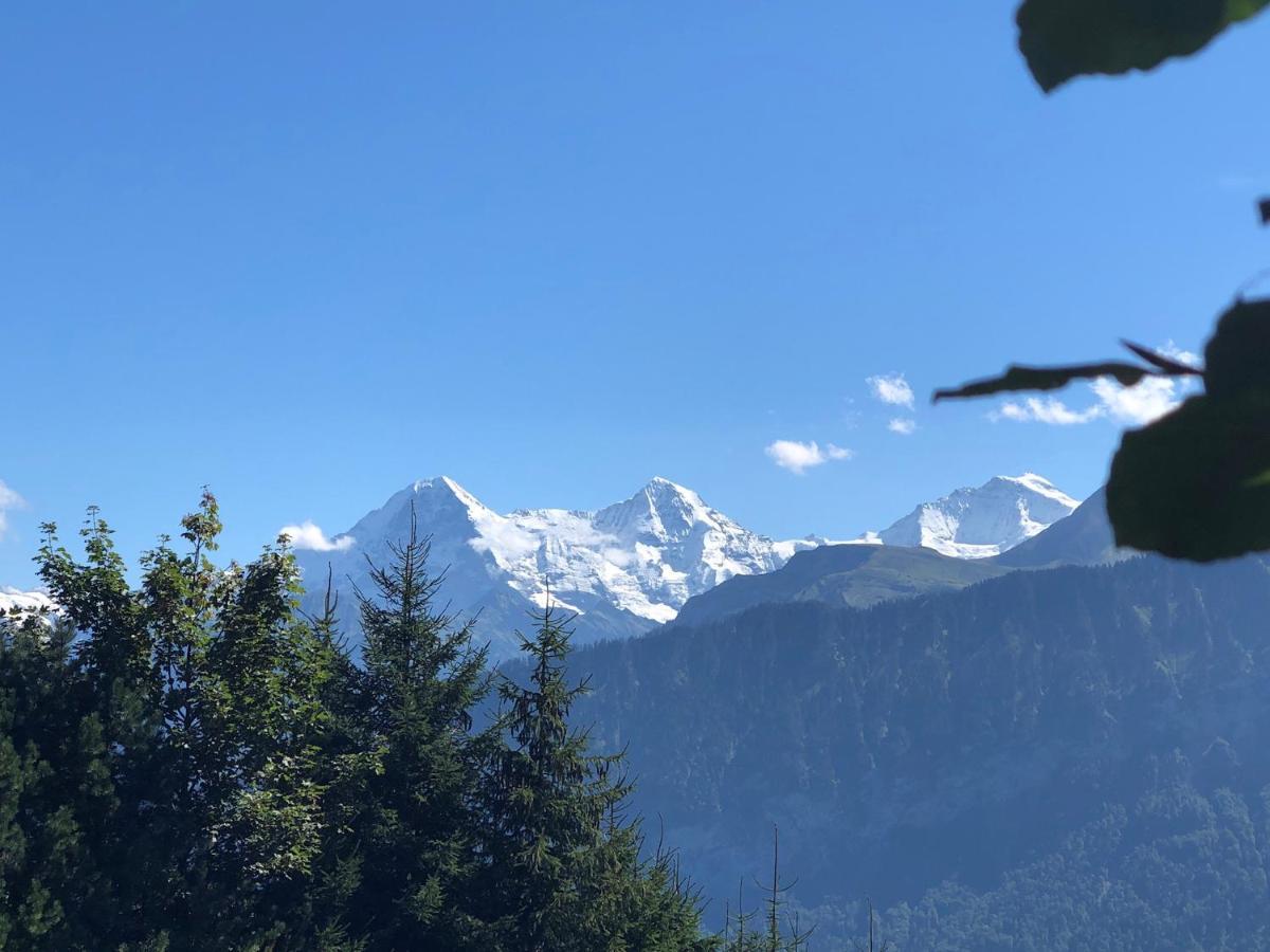 Mit Und Bergsicht Im Vier Sterne
