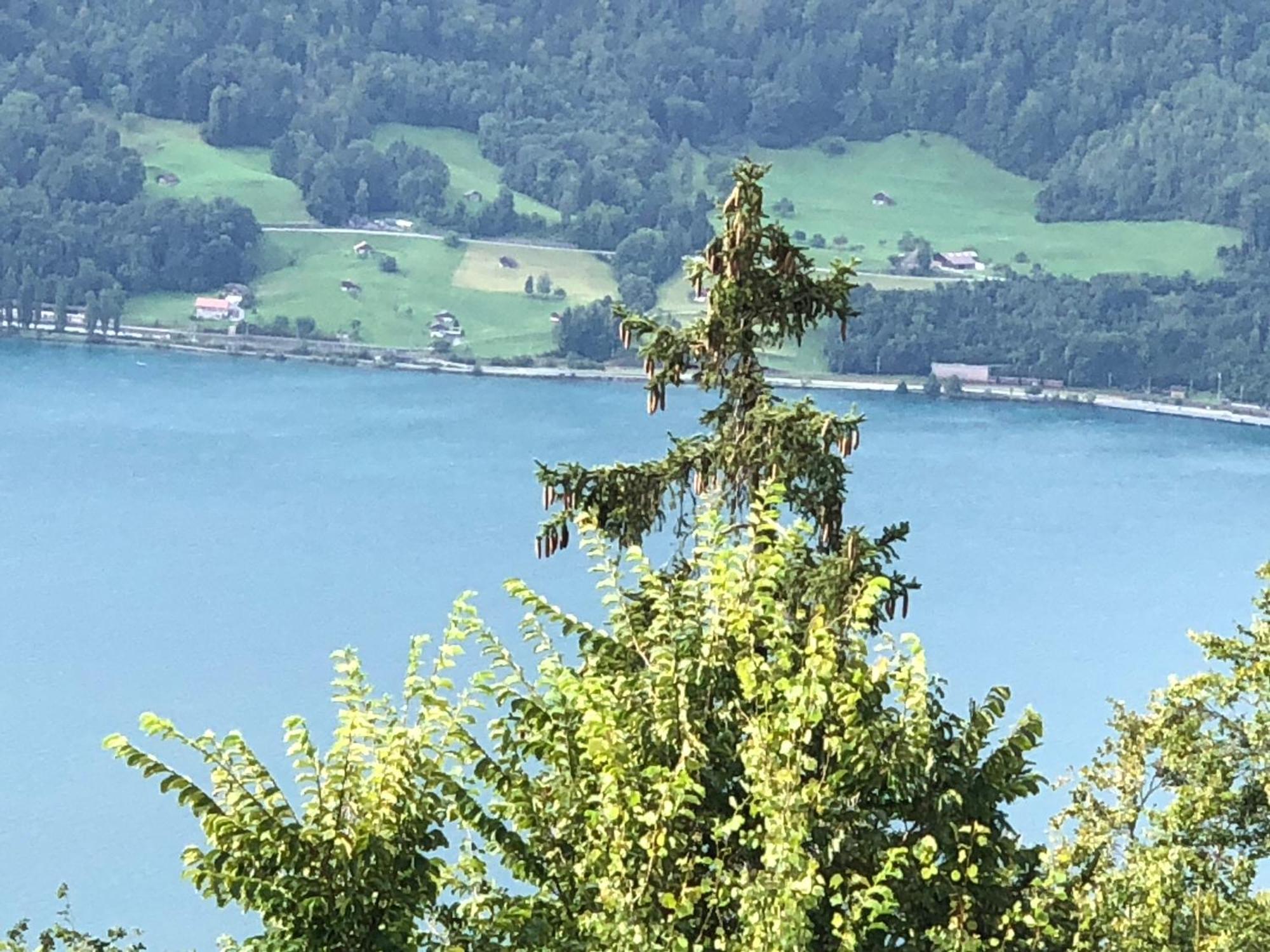 Appartement Mit Und Bergsicht Im Vier Sterne